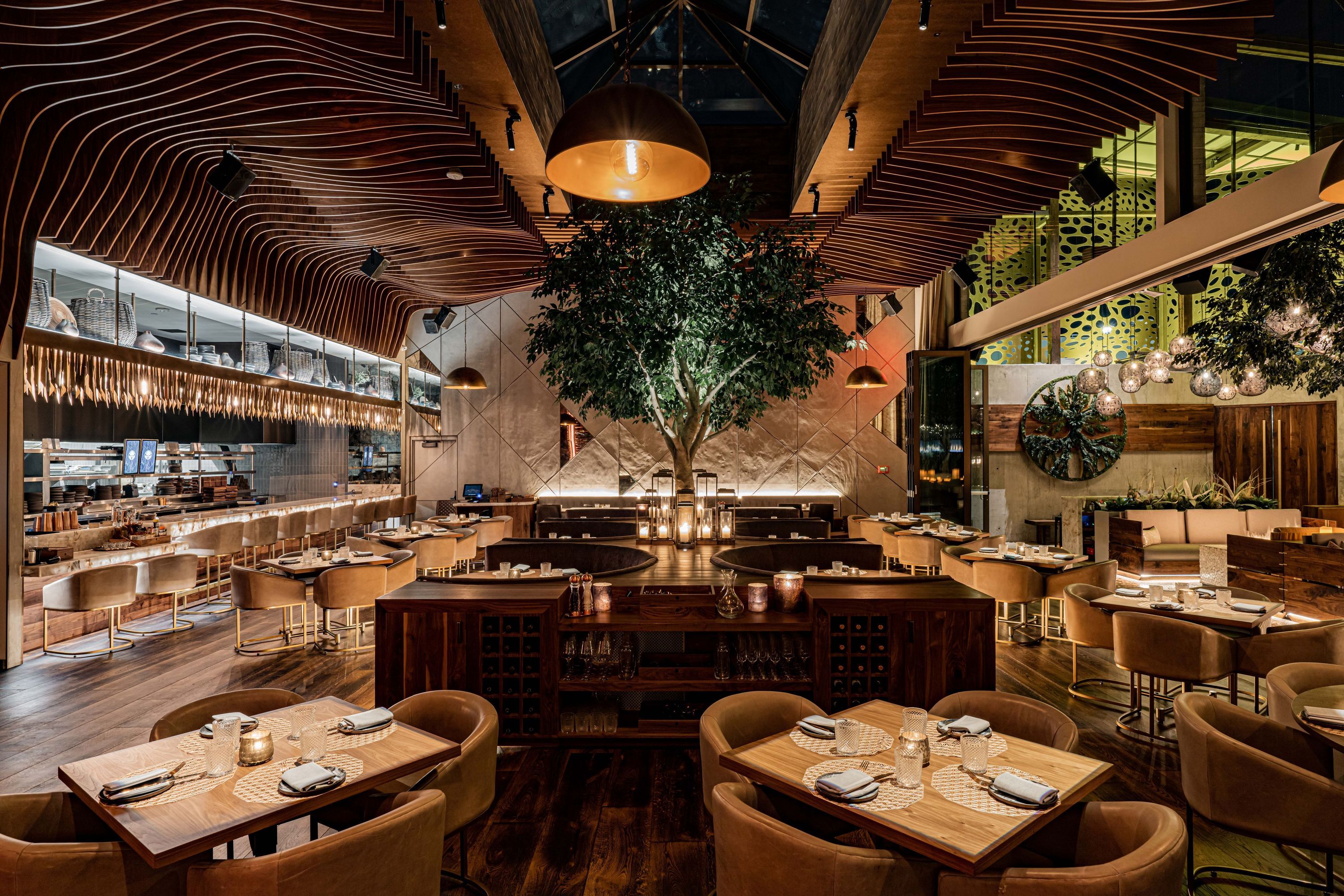 Toca Madera Scottsdale interior with wooden decor, central tree, warm lighting, and neatly set tables with chairs.